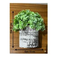 Görünümlü Antrasit Saksıda Lüx Yapay Yeşillik - 17 cm