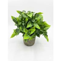 Dekoratif Eskitme Gri Saksıda Gerçekçi Yapay Yeşil Bitki - Modern Masa ve Raf Çiçeği (24x18 cm)