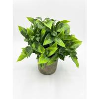 Dekoratif Eskitme Gri Saksıda Gerçekçi Yapay Yeşil Bitki - Modern Masa ve Raf Çiçeği (24x18 cm)