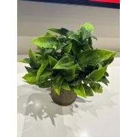 Dekoratif Eskitme Gri Saksıda Gerçekçi Yapay Yeşil Bitki - Modern Masa ve Raf Çiçeği (24x18 cm)