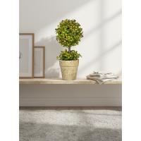 Dekoratif İkili Top Şimşir Yapay Bitki - 24 cm Rustik Taş Görünümlü Saksıda Masaüstü Çiçek