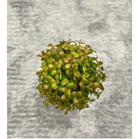 Dekoratif İkili Top Şimşir Yapay Bitki - 24 cm Rustik Taş Görünümlü Saksıda Masaüstü Çiçek