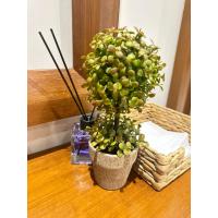 Dekoratif İkili Top Şimşir Yapay Bitki - 24 cm Rustik Taş Görünümlü Saksıda Masaüstü Çiçek