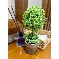 Dekoratif Saksılı Yapay Şimşir - 24 cm - Bakım Gerektirmeyen Taze & Yeşil Ev Ofis Dekoru