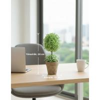 Dekoratif Saksılı Yapay Şimşir - 24 cm - Bakım Gerektirmeyen Taze & Yeşil Ev Ofis Dekoru