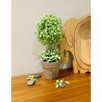 Dekoratif Saksılı Yapay Şimşir - 24 cm - Bakım Gerektirmeyen Taze & Yeşil Ev Ofis Dekoru