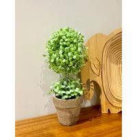 Dekoratif Saksılı Yapay Şimşir - 24 cm - Bakım Gerektirmeyen Taze & Yeşil Ev Ofis Dekoru