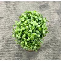 Dekoratif Saksılı Yapay Şimşir - 24 cm - Bakım Gerektirmeyen Taze & Yeşil Ev Ofis Dekoru