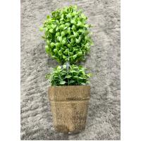 Dekoratif Saksılı Yapay Şimşir - 24 cm - Bakım Gerektirmeyen Taze & Yeşil Ev Ofis Dekoru