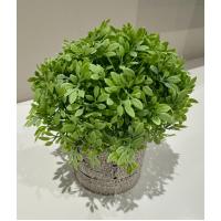 Dekoratif Yapay Bitki Seti - Saksıda Gerçekçi Yeşillik - 17 cm