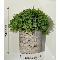 Dekoratif Yapay Bitki Seti - Saksıda Gerçekçi Yeşillik - 17 cm