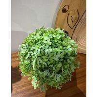 Dekoratif Yapay Bitki Seti - Saksıda Gerçekçi Yeşillik - 17 cm