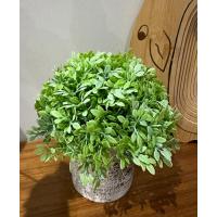 Dekoratif Yapay Bitki Seti - Saksıda Gerçekçi Yeşillik - 17 cm