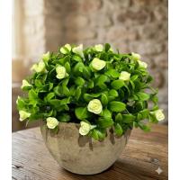 Dekoratif Yapay Çiçek - Saksıda Sarı Çiçekli - Masa Üstü Ofis & Ev Dekoru (17x13 cm)