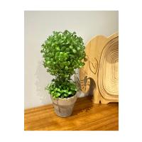 Doğal Görünümlü Dekoratif Eskitme Saksılı Yapay Top Şimşir Ağacı - Masaüstü Ofis ve Ev Dekoru