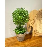 Doğal Görünümlü Dekoratif Eskitme Saksılı Yapay Top Şimşir Ağacı - Masaüstü Ofis ve Ev Dekoru