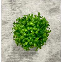 Doğal Görünümlü Dekoratif Eskitme Saksılı Yapay Top Şimşir Ağacı - Masaüstü Ofis ve Ev Dekoru