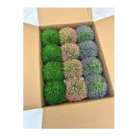 12'li Karışık Renk Yapay Şimşir Top Seti - Cafe, Restoran ve Ev İçin Masa ve Saksılı Yapay Çiçek