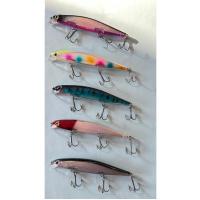 10'lu Efsane Rapala Seti 11 cm 13 gr - Levrek, Lüfer ve Turna Avcısı (At-Çek & Sırtı Uyumlu)