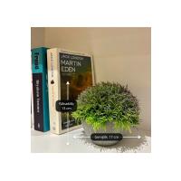 Loft Serisi Dekoratif Gri Saksılı Bodur Çim (13 cm x 17 cm)
