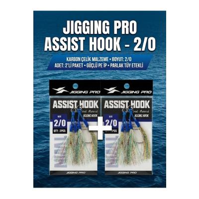 2/0 ASSIST HOOK – ŞİMDİ İKİLİ FIRSAT PAKETİYLE!
