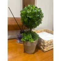 Ev ve Ofis Hediyesi Dekoratif Yapay Şimşir Ağacı - Saksılı 10x24 cm