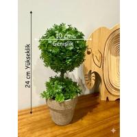 Ev ve Ofis Hediyesi Dekoratif Yapay Şimşir Ağacı - Saksılı 10x24 cm