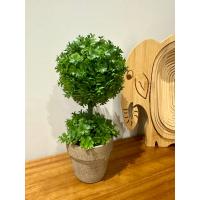 Ev ve Ofis Hediyesi Dekoratif Yapay Şimşir Ağacı - Saksılı 10x24 cm