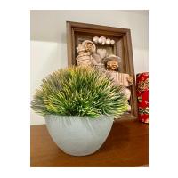 Yapay Scleranthus (Minder Çiçeği) Kızıl Yeşil Antrasit Saksılı Premium Dekor ?