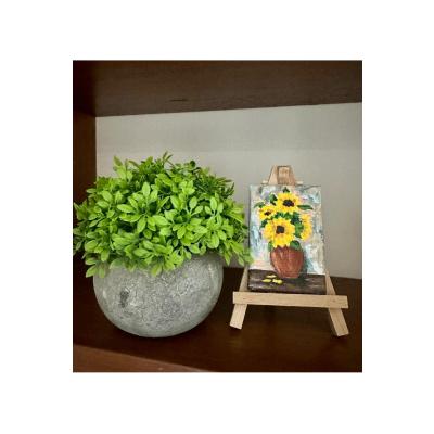 Yapay Şimşir (Boxwood) Çiçeği Antrasit Modern Saksılı Premium Ev Ofis Dekoru ?