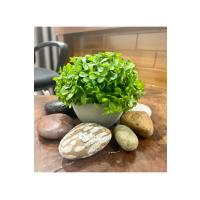 Modern Gri Saksılı Yapay Yeşil Bitki - Yaşam Alanınıza Doğal Dokunuş (13x17 cm)