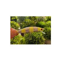 5'li Long Cast Maket Balık Seti - 10cm 29gr - Uzun Mesafe Atış ve Sırtı Yemi