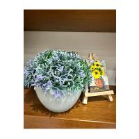 Yapay Grevillea Çiçeği Lila-Yeşil Antrasit Saksılı Premium Ofis Ev Dekorasyonu ?