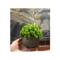 Flora Esinti – Gerçekçi Görünümlü Saksıda Yapay Çiçek