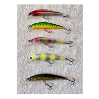 5'li Long Cast Maket Balık Seti - 10cm 29gr - Uzun Mesafe Atış ve Sırtı Yemi