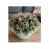 12'li Saksılı Yapay Çiçek Seti - Cafe Restoran ve Ev İçin Renkli Masa Dekoru