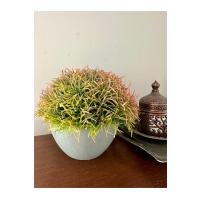 Premium Yapay Saksılı Çim Bitki - Dekoratif Ev Ofis Aksesuarı 13x16 cm ✨