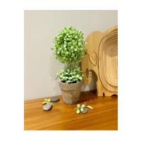 Dekoratif Saksılı Yapay Şimşir - 24 cm - Bakım Gerektirmeyen Taze & Yeşil Ev Ofis Dekoru