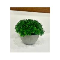 Yapay Scleranthus (Minder Çiçeği) Antrasit Saksılı Premium Dekoratif Bitki ?