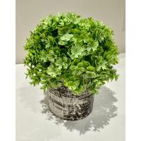 Görünümlü Antrasit Saksıda Lüx Yapay Yeşillik - 17 cm