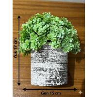 Görünümlü Antrasit Saksıda Lüx Yapay Yeşillik - 17 cm