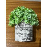 Görünümlü Antrasit Saksıda Lüx Yapay Yeşillik - 17 cm