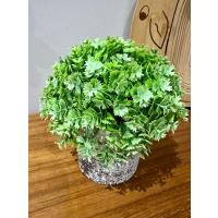 Görünümlü Antrasit Saksıda Lüx Yapay Yeşillik - 17 cm