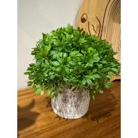 Masanızın Yeni Favorisi: Dekoratif Minimalist Yeşil - Gerçekçi Yeşil Yapay Çiçek