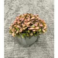 Modern Gri Saksıda Gerçekçi Yapay Dekoratif Bitki – 17 x13 cm – Ev ve Ofis Dekoru