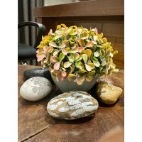 Modern Gri Saksıda Gerçekçi Yapay Dekoratif Bitki – 17 x13 cm – Ev ve Ofis Dekoru