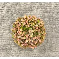 Modern Gri Saksıda Gerçekçi Yapay Dekoratif Bitki – 17 x13 cm – Ev ve Ofis Dekoru