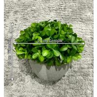 Modern Gri Saksılı Yapay Yeşil Bitki - Yaşam Alanınıza Doğal Dokunuş (13x17 cm)