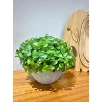 Modern Gri Saksılı Yapay Yeşil Bitki - Yaşam Alanınıza Doğal Dokunuş (13x17 cm)