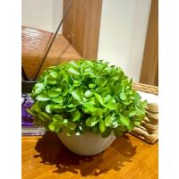 Modern Gri Saksılı Yapay Yeşil Bitki - Yaşam Alanınıza Doğal Dokunuş (13x17 cm)